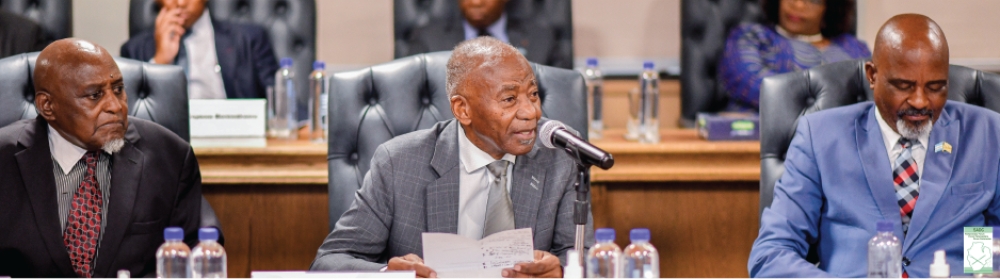 “Are we really here?” – Katjavivi reacts to transformation of SADC PF